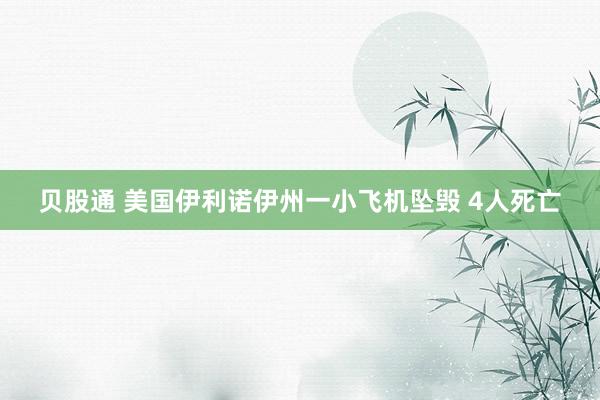 贝股通 美国伊利诺伊州一小飞机坠毁 4人死亡