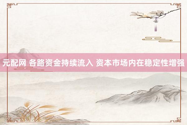 元配网 各路资金持续流入 资本市场内在稳定性增强