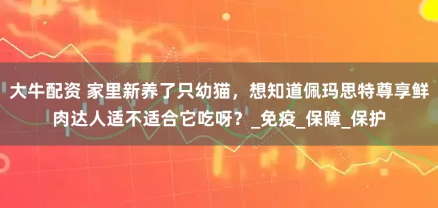 大牛配资 家里新养了只幼猫，想知道佩玛思特尊享鲜肉达人适不适合它吃呀？_免疫_保障_保护