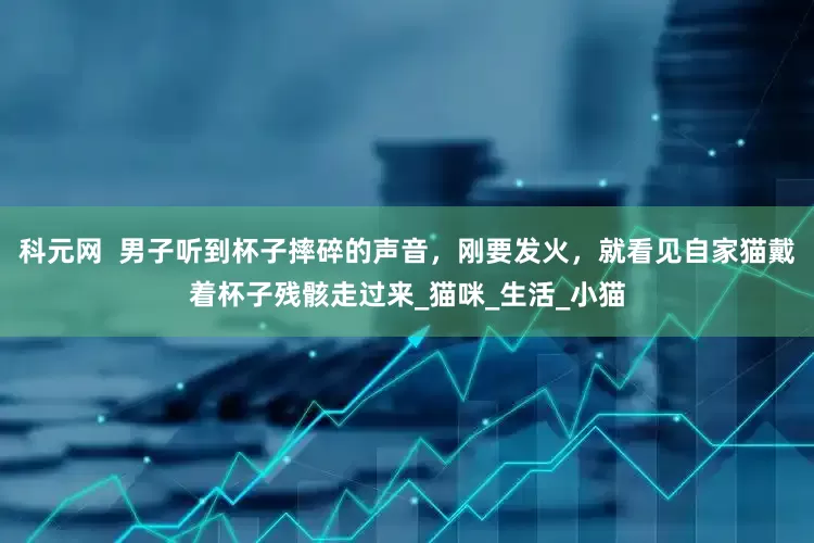 科元网  男子听到杯子摔碎的声音，刚要发火，就看见自家猫戴着杯子残骸走过来_猫咪_生活_小猫