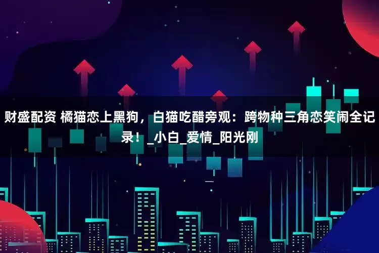 财盛配资 橘猫恋上黑狗，白猫吃醋旁观：跨物种三角恋笑闹全记录！_小白_爱情_阳光刚