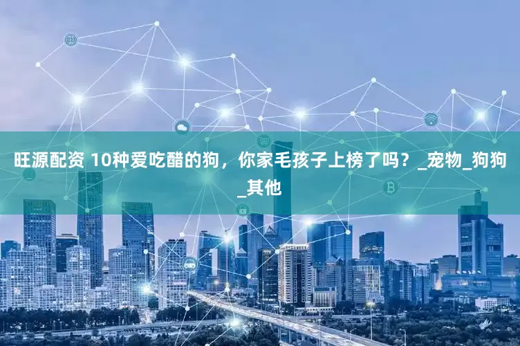 旺源配资 10种爱吃醋的狗，你家毛孩子上榜了吗？_宠物_狗狗_其他