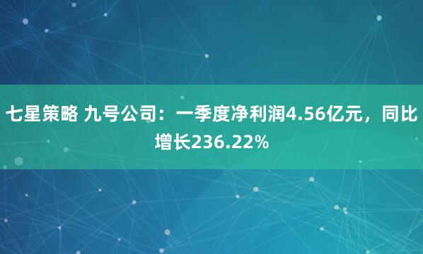 七星策略 九号公司：一季度净利润4.56亿元，同比增长236.22%