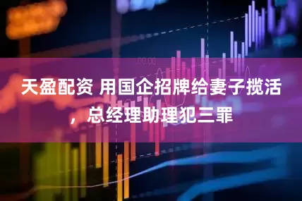 天盈配资 用国企招牌给妻子揽活，总经理助理犯三罪